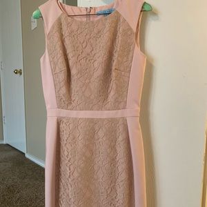 Antonio Melani above the knee dress.